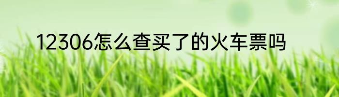 12306怎么查买了的火车票吗