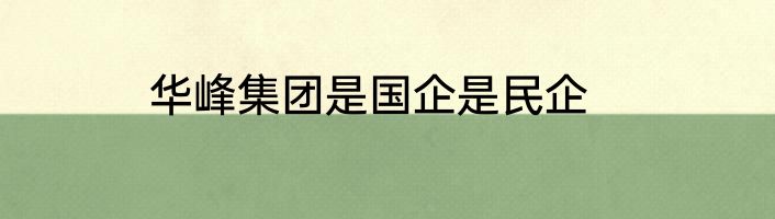 华峰集团是国企是民企