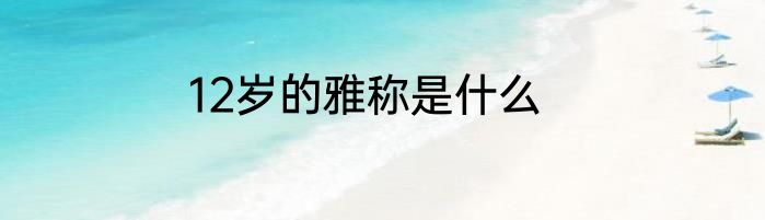 12岁的雅称是什么
