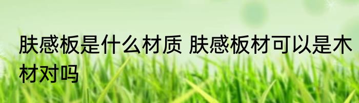 肤感板是什么材质 肤感板材可以是木材对吗