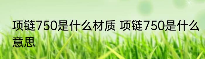 项链750是什么材质 项链750是什么意思