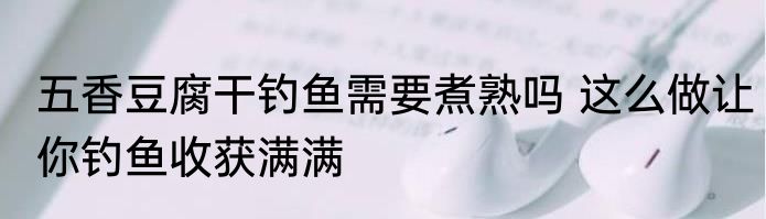 五香豆腐干钓鱼需要煮熟吗 这么做让你钓鱼收获满满