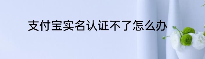 支付宝实名认证不了怎么办