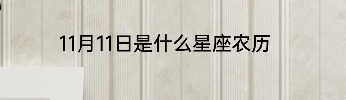 11月11日是什么星座农历