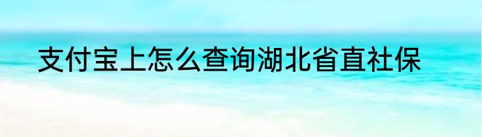 支付宝上怎么查询湖北省直社保