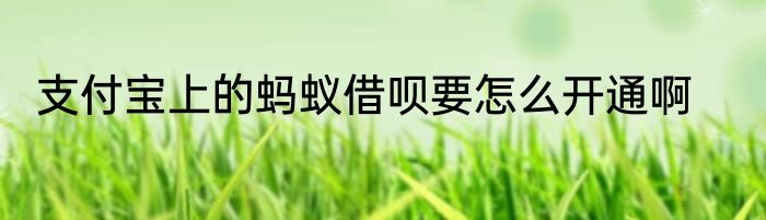 支付宝上的蚂蚁借呗要怎么开通啊