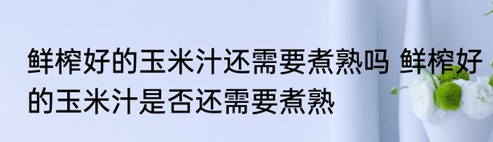 鲜榨好的玉米汁还需要煮熟吗 鲜榨好的玉米汁是否还需要煮熟