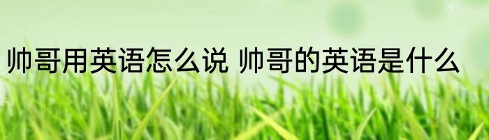 帅哥用英语怎么说 帅哥的英语是什么