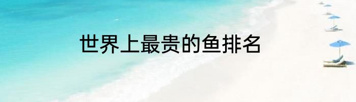 世界上最贵的鱼排名
