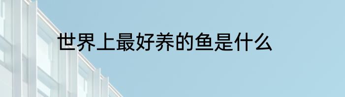 世界上最好养的鱼是什么