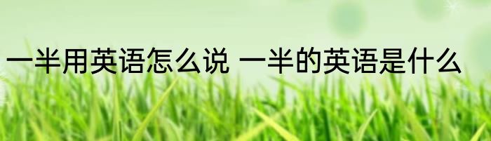 一半用英语怎么说 一半的英语是什么