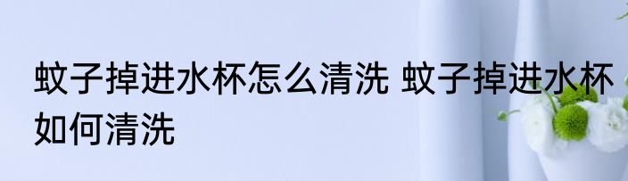 蚊子掉进水杯怎么清洗 蚊子掉进水杯如何清洗