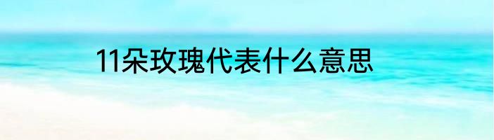 11朵玫瑰代表什么意思