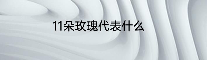 11朵玫瑰代表什么