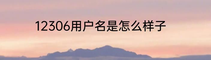 12306用户名是怎么样子