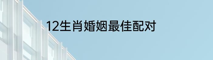 12生肖婚姻最佳配对