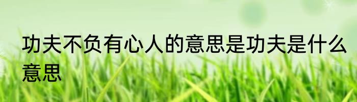 功夫不负有心人的意思是功夫是什么意思