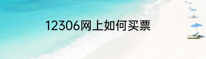 12306网上如何买票