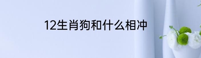 12生肖狗和什么相冲