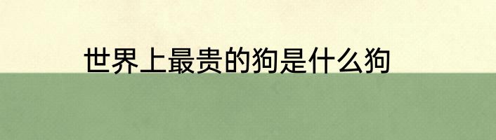 世界上最贵的狗是什么狗