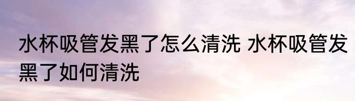 水杯吸管发黑了怎么清洗 水杯吸管发黑了如何清洗