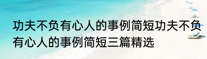 功夫不负有心人的事例简短功夫不负有心人的事例简短三篇精选