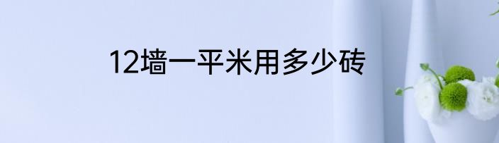 12墙一平米用多少砖
