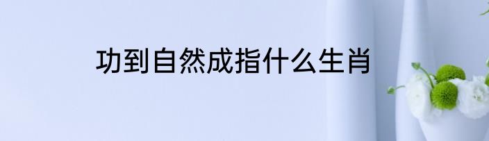功到自然成指什么生肖