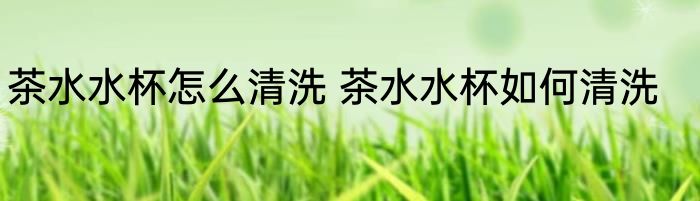 茶水水杯怎么清洗 茶水水杯如何清洗
