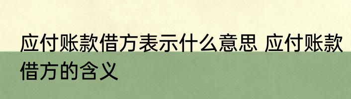 应付账款借方表示什么意思 应付账款借方的含义