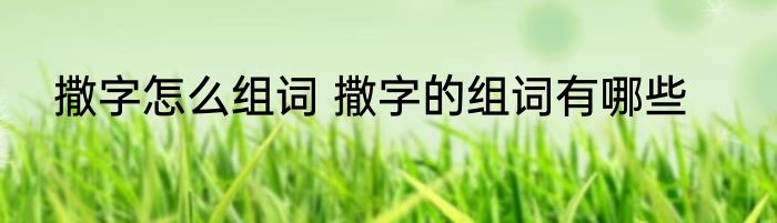 撒字怎么组词 撒字的组词有哪些