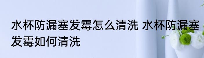 水杯防漏塞发霉怎么清洗 水杯防漏塞发霉如何清洗
