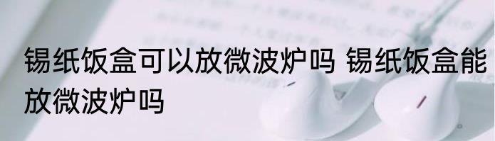 锡纸饭盒可以放微波炉吗 锡纸饭盒能放微波炉吗