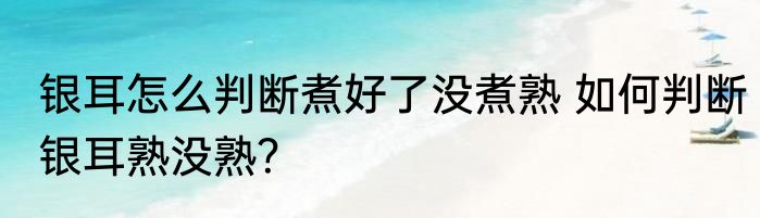 vt是什么词性vt是什么意思 vt是那种词性