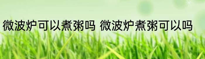 微波炉可以煮粥吗 微波炉煮粥可以吗
