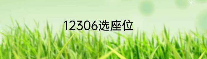 12306选座位