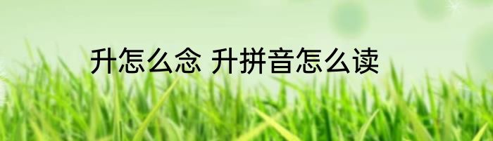 升怎么念 升拼音怎么读