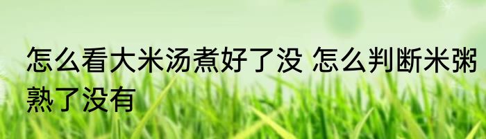 怎么看大米汤煮好了没 怎么判断米粥熟了没有