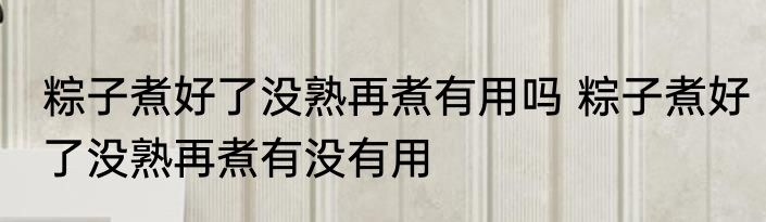 粽子煮好了没熟再煮有用吗 粽子煮好了没熟再煮有没有用