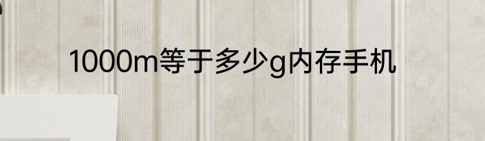 1000m等于多少g内存手机
