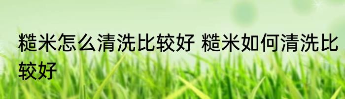 糙米怎么清洗比较好 糙米如何清洗比较好