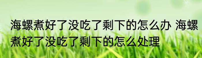 海螺煮好了没吃了剩下的怎么办 海螺煮好了没吃了剩下的怎么处理