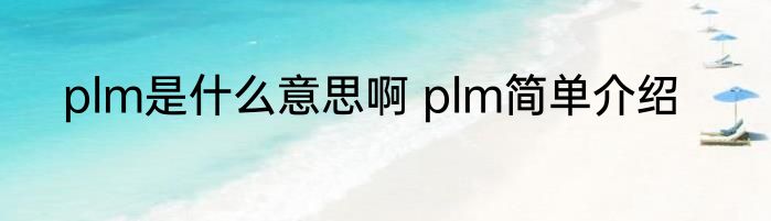 plm是什么意思啊 plm简单介绍