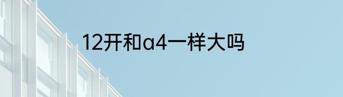 12开和a4一样大吗