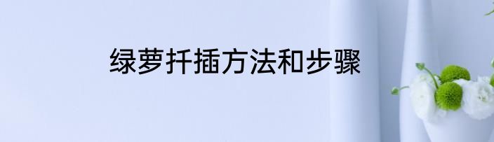 绿萝扦插方法和步骤