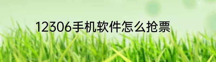 12306手机软件怎么抢票