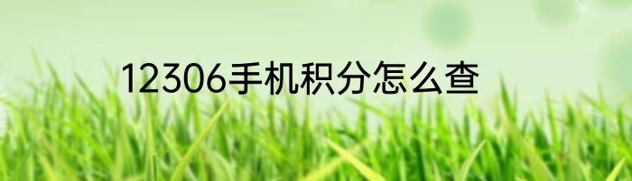 12306手机积分怎么查