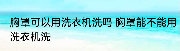 胸罩可以用洗衣机洗吗 胸罩能不能用洗衣机洗
