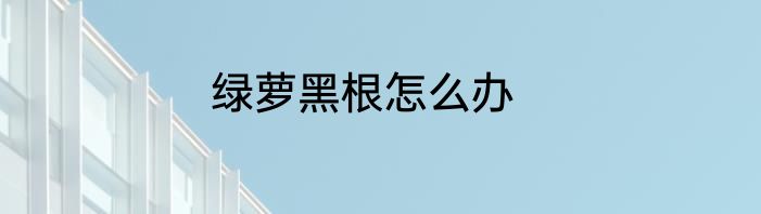 绿萝黑根怎么办