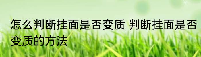 怎么判断挂面是否变质 判断挂面是否变质的方法